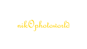 Niko Photoworld Logo